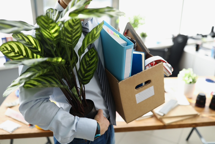 Office worker leaving their job with belongings in a box and a plant.